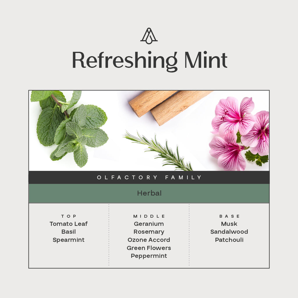 Refreshing Mint - Reed Diffuser – AromaPlan