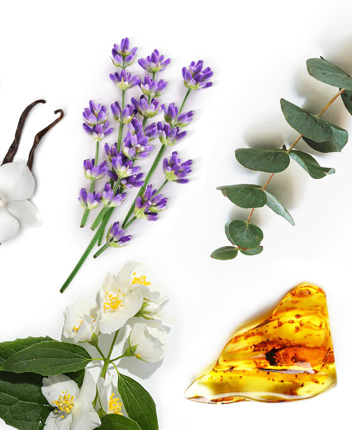 Lavender Fragrance AP026 - AromaPlan
