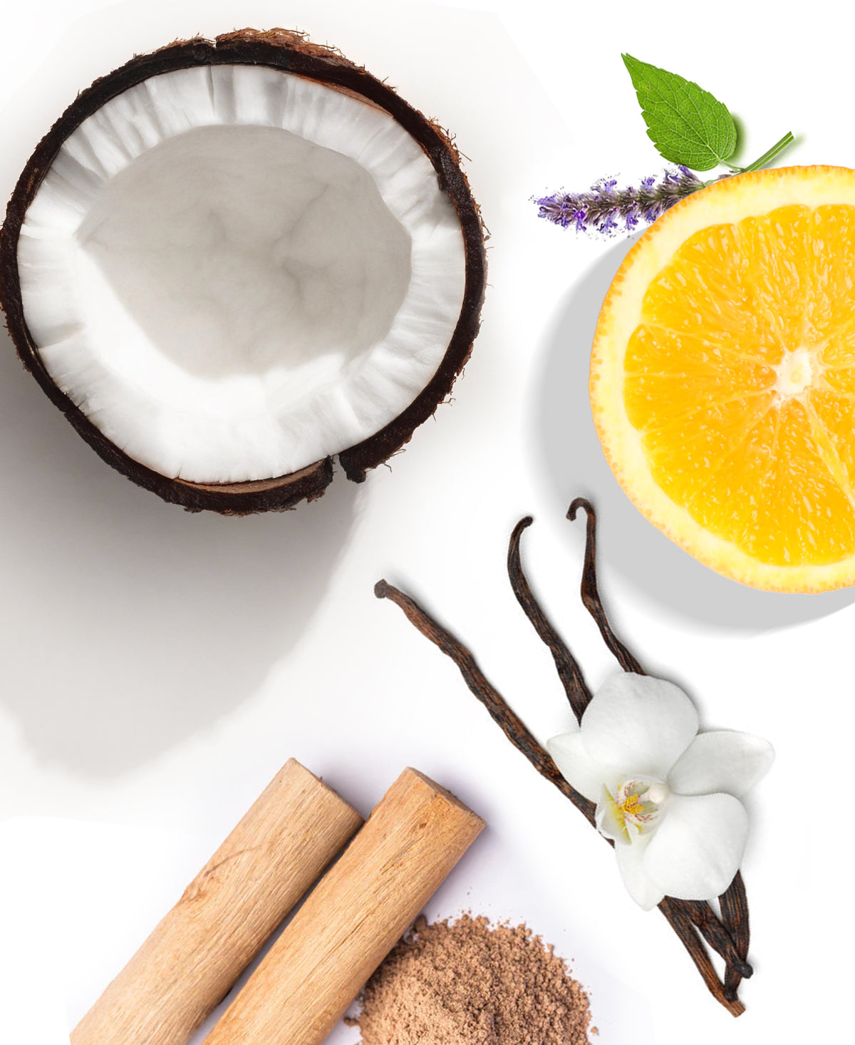 Vanilla Birch Fragrance AP047 - AromaPlan