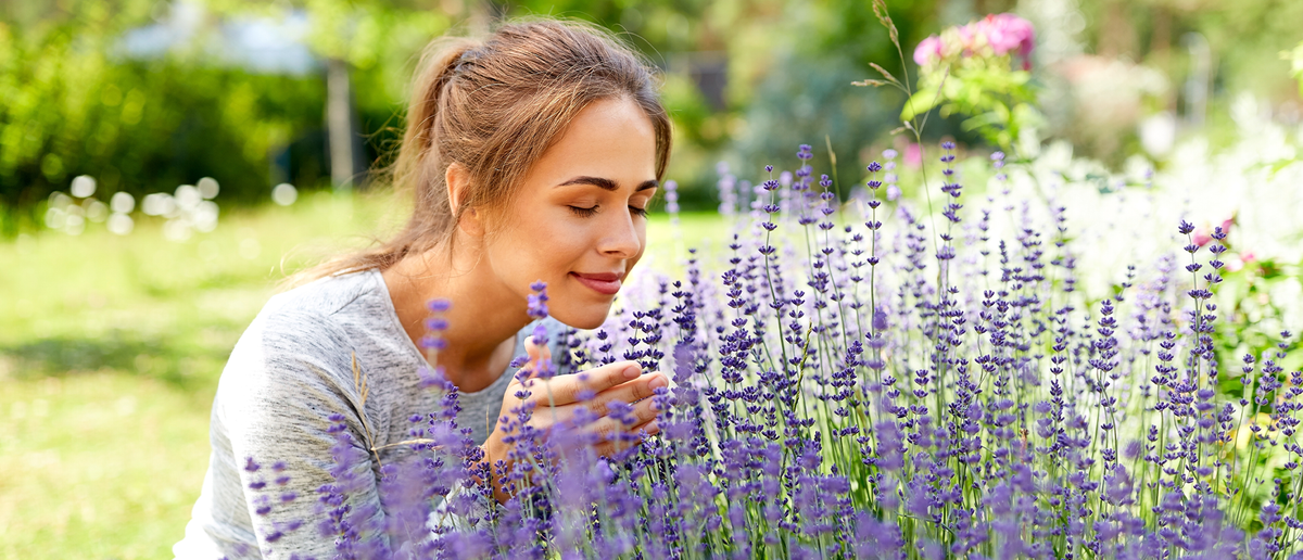 How can our aromas eternalize your best memories?