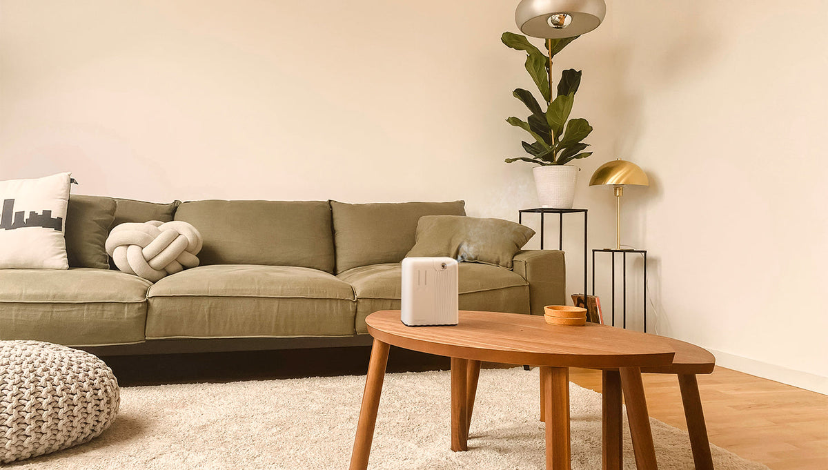 Discover the Best Fall Scents to Make Your Home Feel Cozy