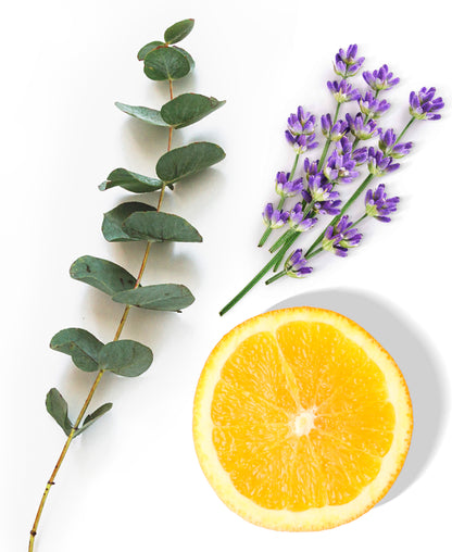 Minty Eucalyptus Fragrance AP012 - AromaPlan