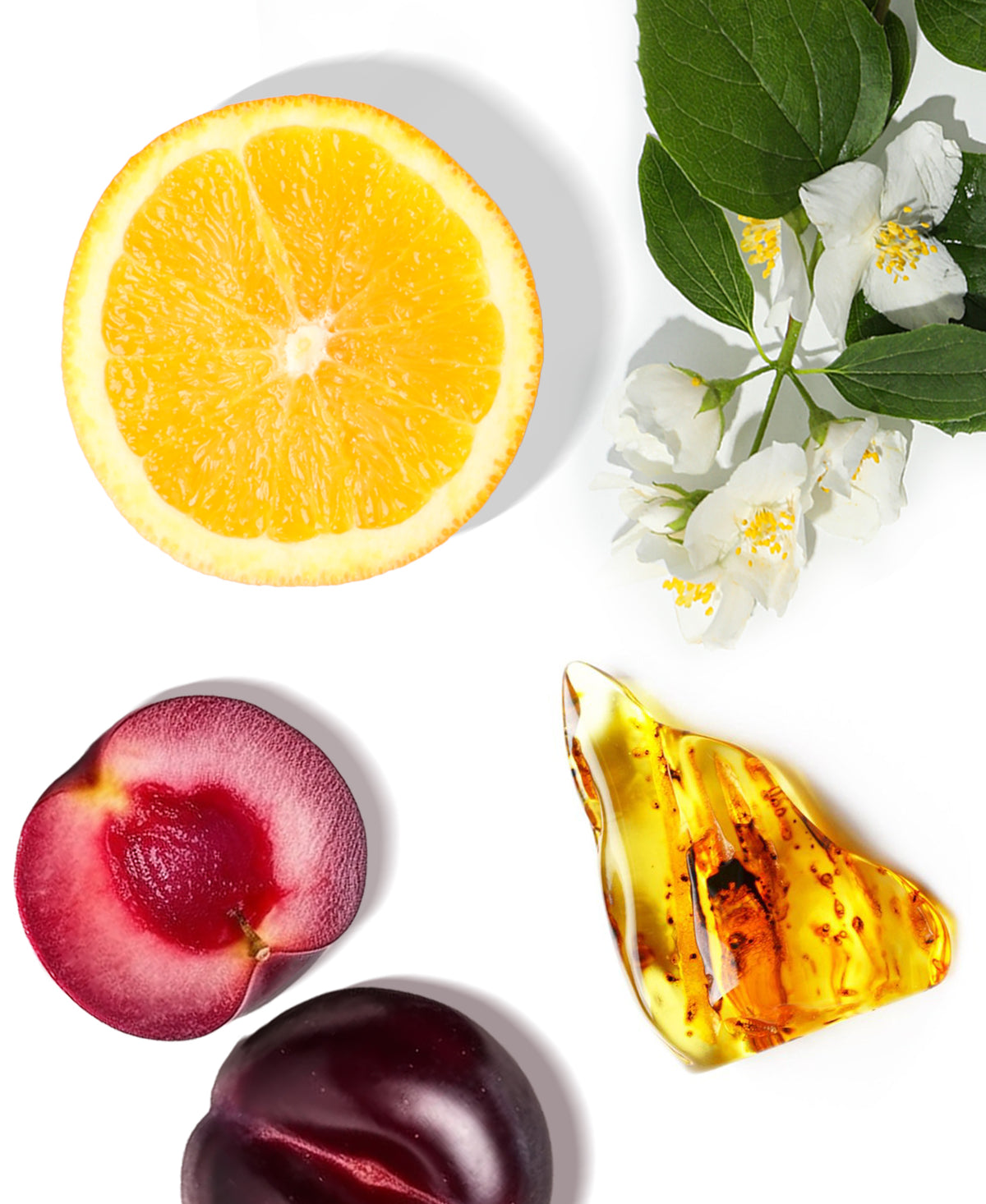 Lifestyle Fragrance AP018 - AromaPlan