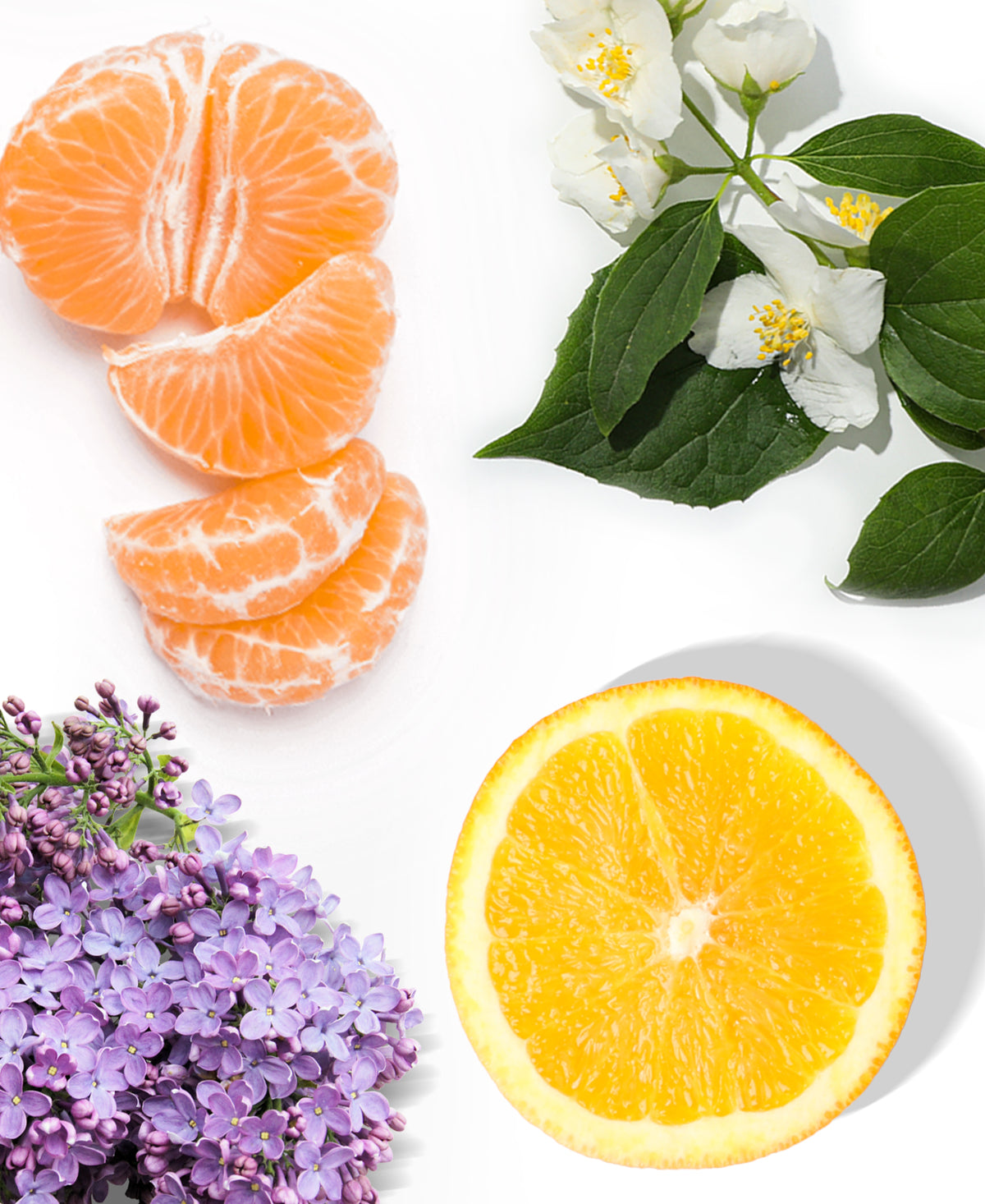 Fresh &amp; Clean Fragrance AP-050 - AromaPlan