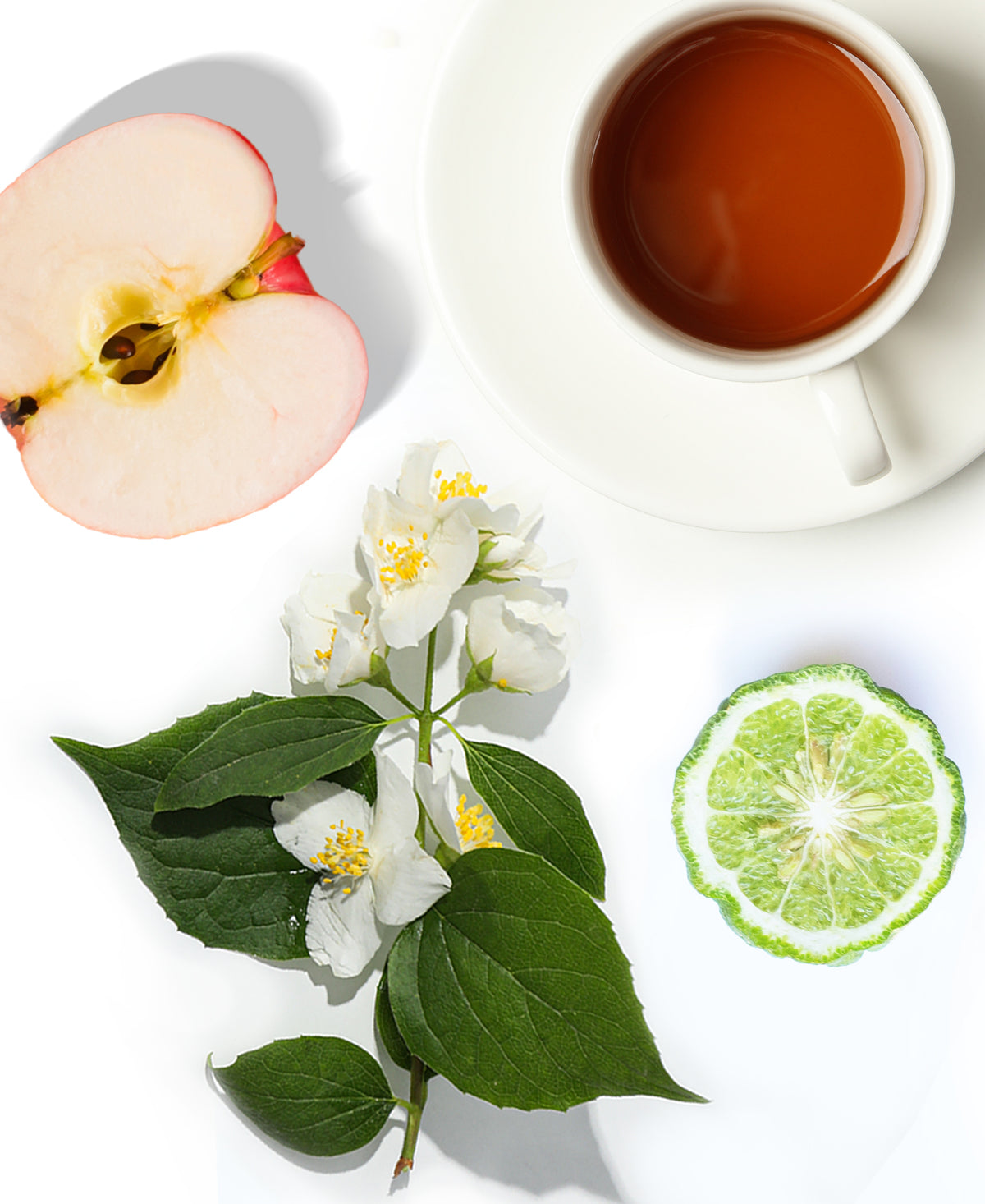 White Tea &amp; Fig Fragrance AP059 - AromaPlan