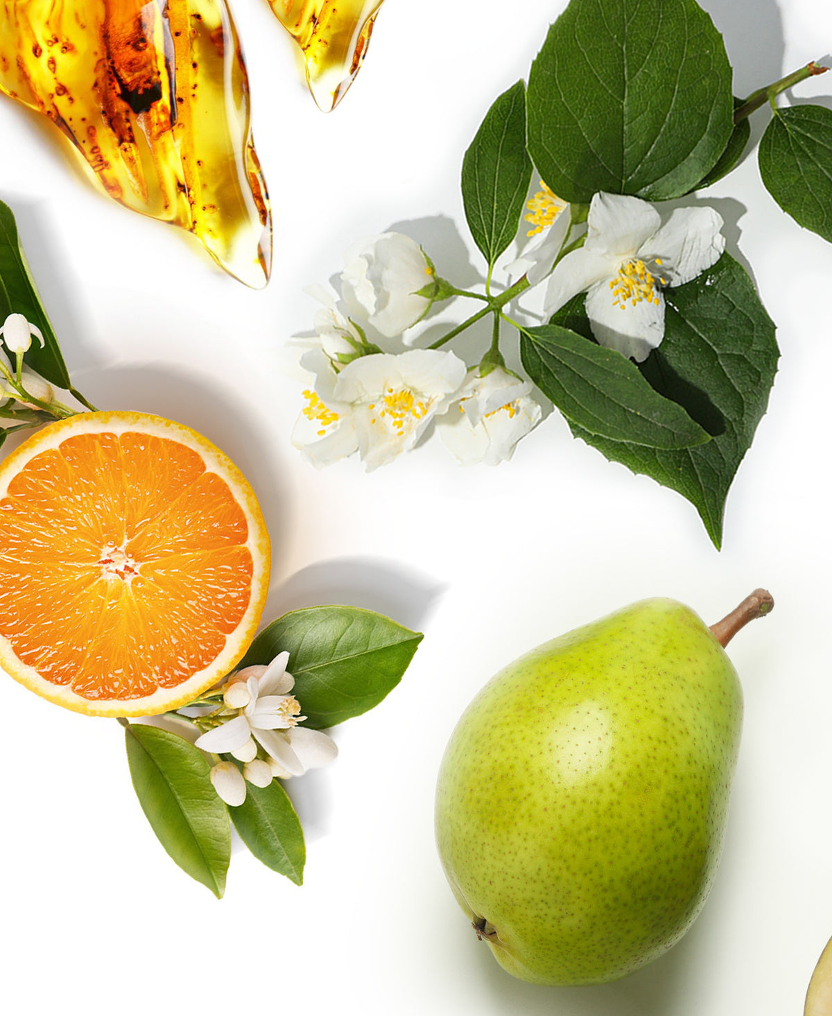Clean House Fragrance AP073 - AromaPlan