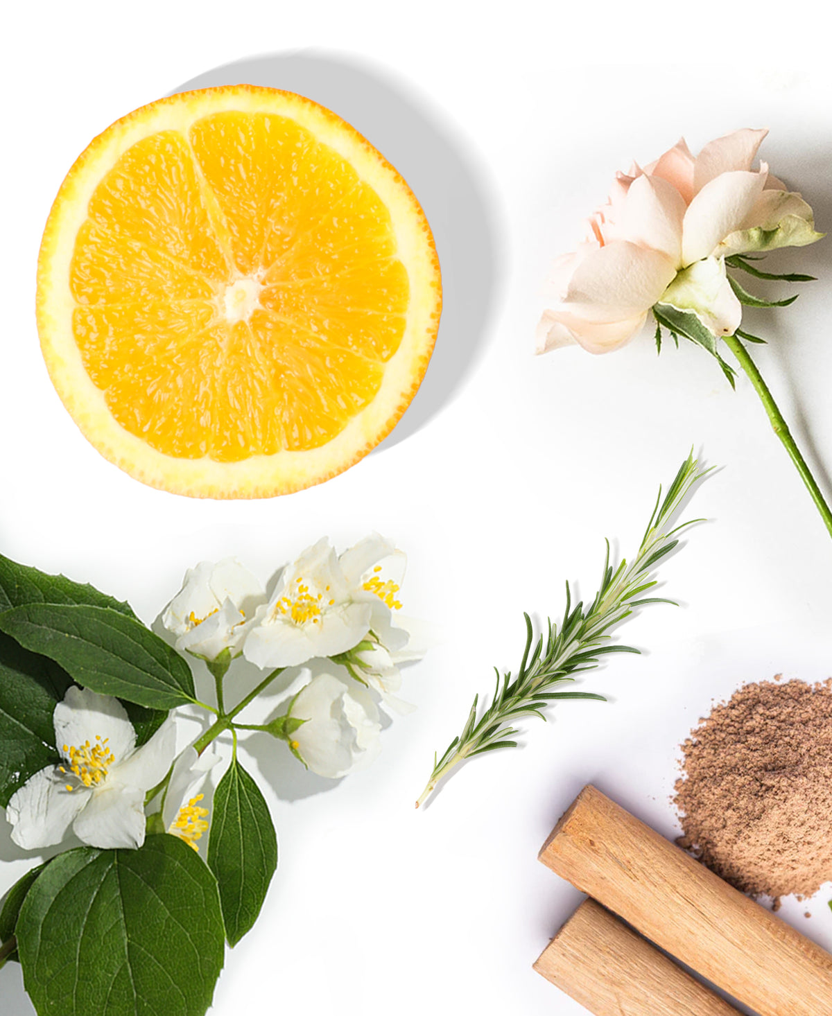 Inspired by A&amp;F Fierce Fragrance AP091 - AromaPlan
