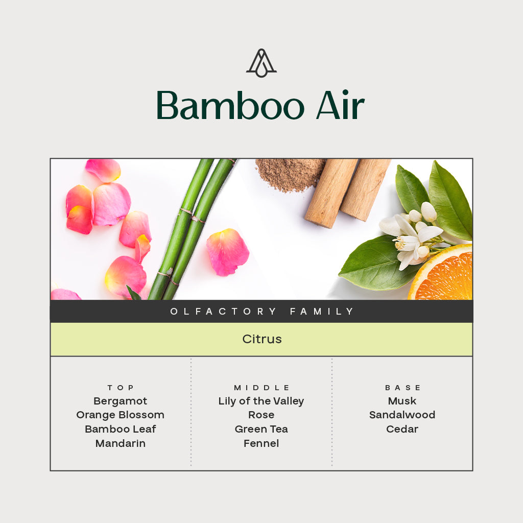 Car Spray Bamboo Fragrance 1 Fl oz (30ml) - AromaPlan