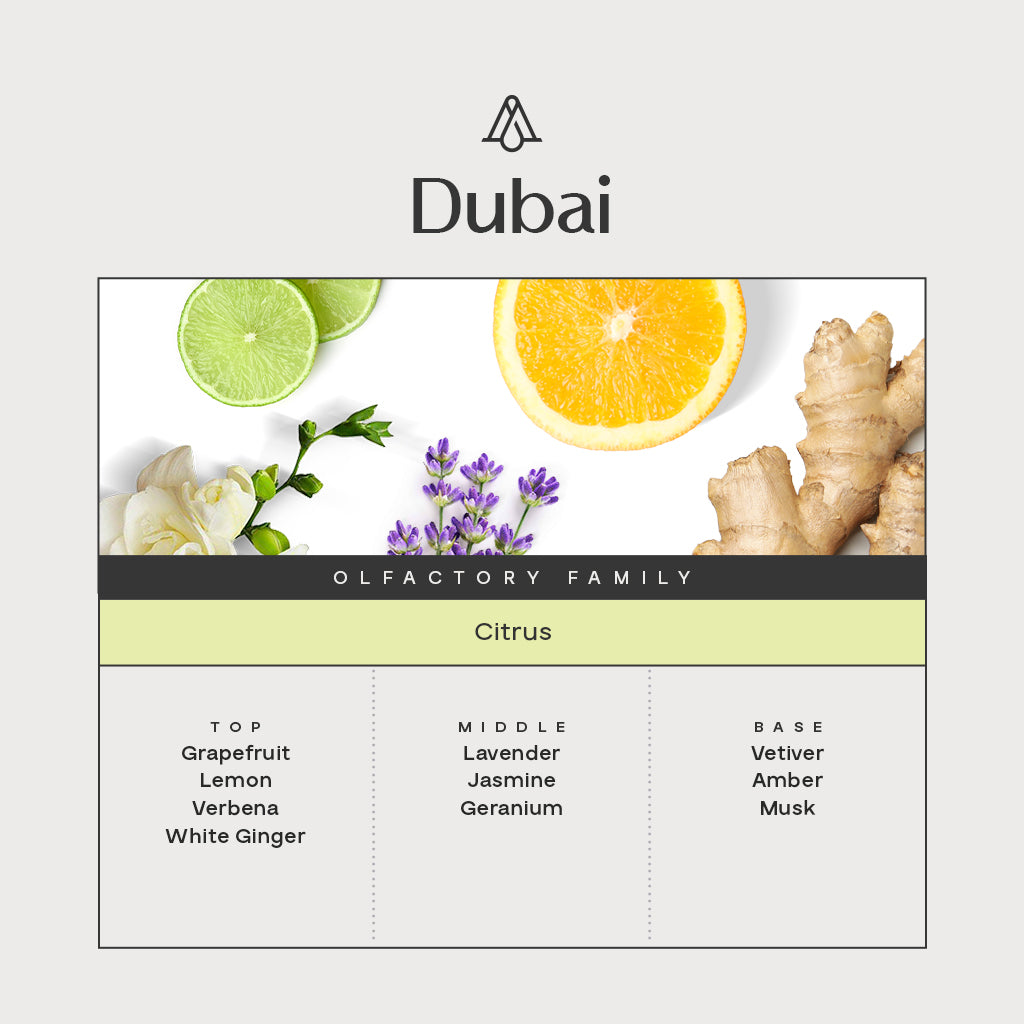 Car Spray Dubai Fragrance 1 Fl oz (30ml) - AromaPlan