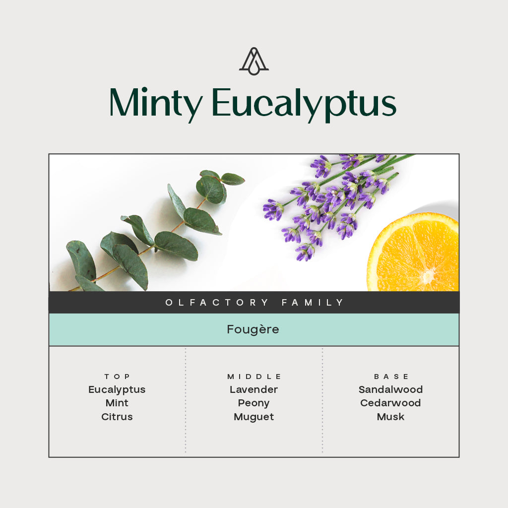 Minty Eucalyptus - Reed Diffuser  – AromaPlan