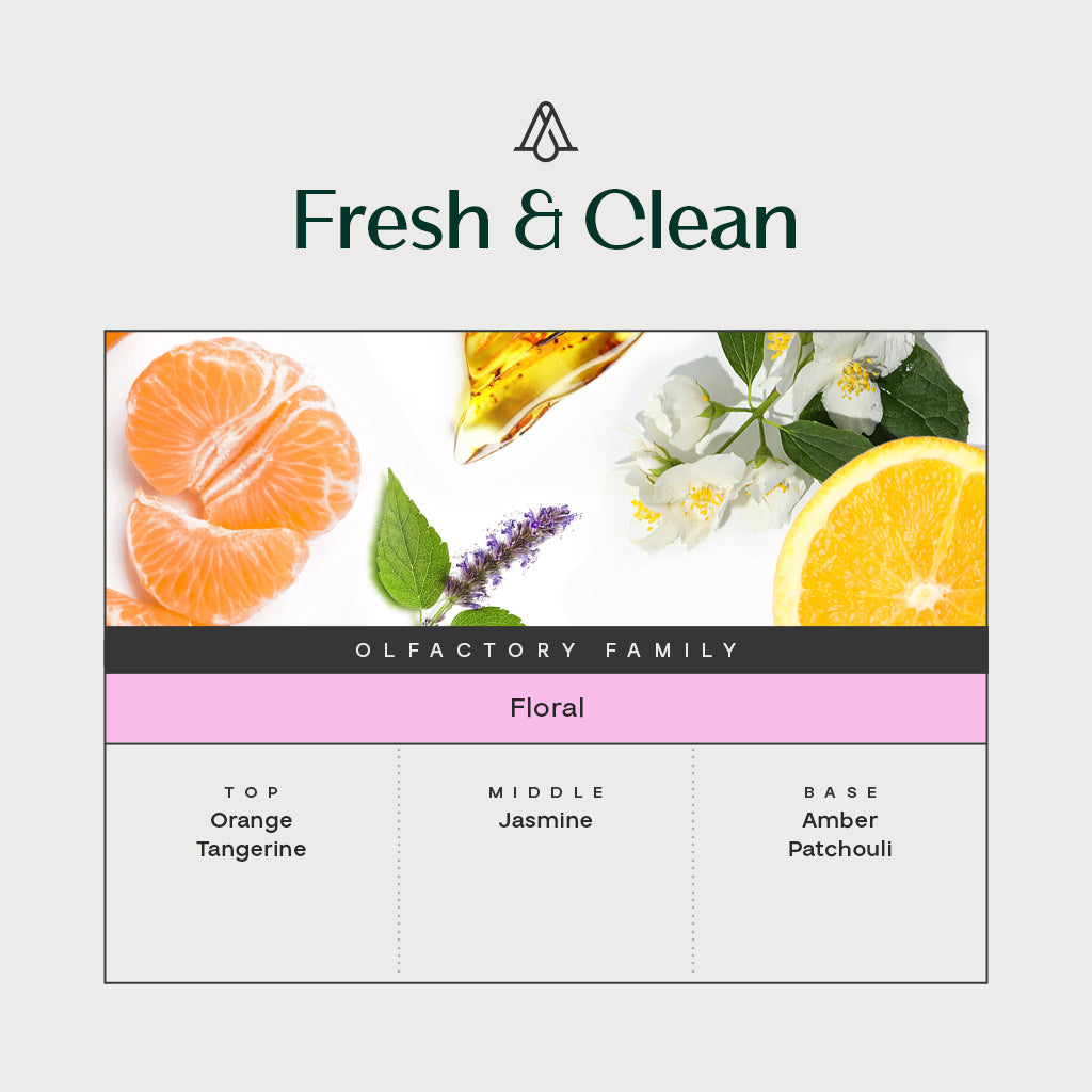 Fresh &amp; Clean - Reed Diffuser  – AromaPlan