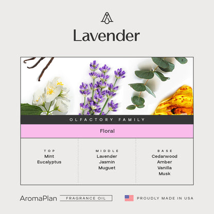 Lavender Fragrance AP026 - AromaPlan